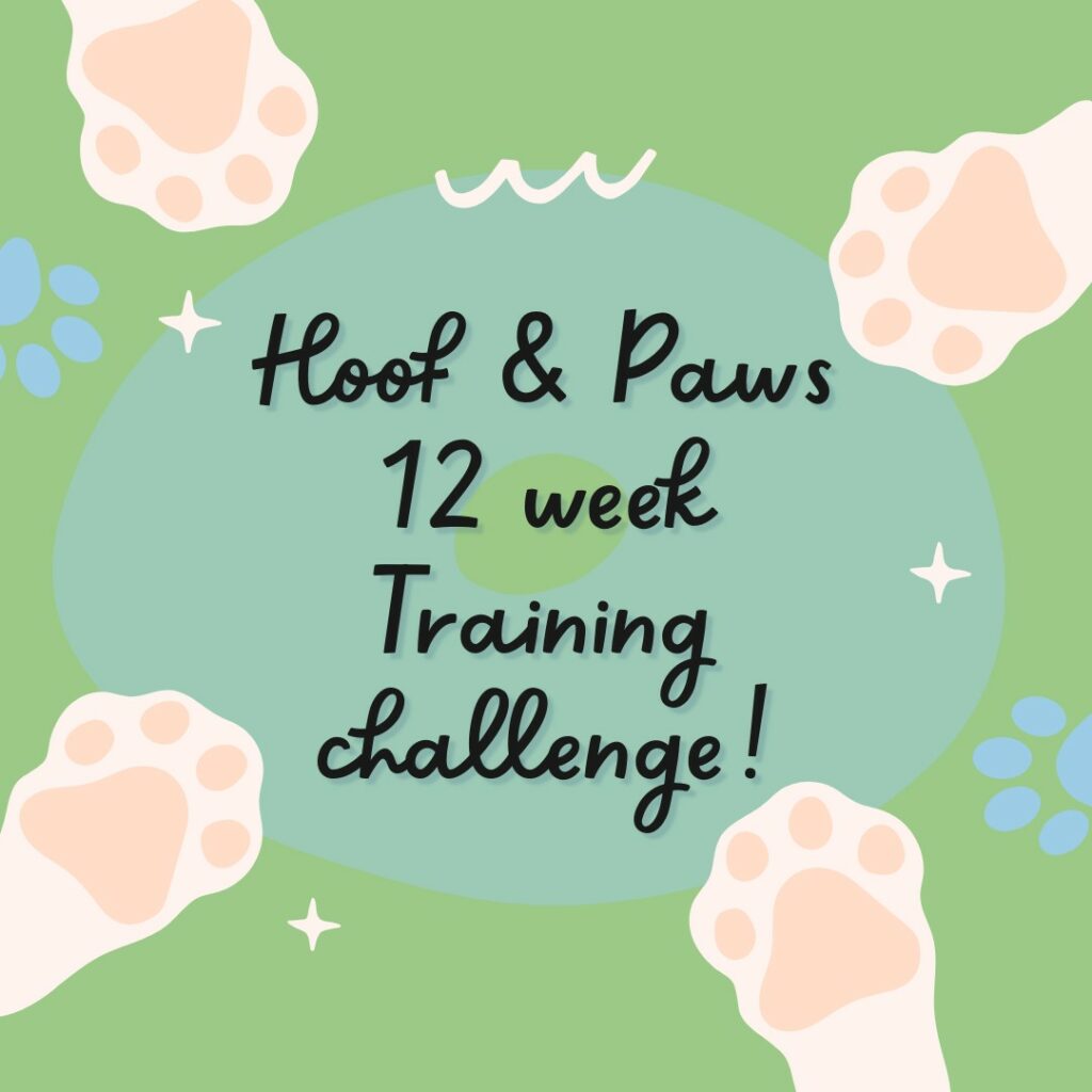 Join Hoof & Paws 12-week Dog Training Challenge. 