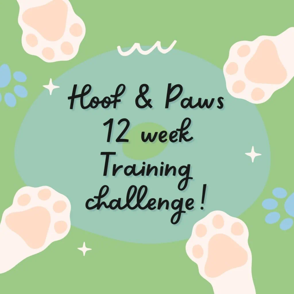 Join Hoof & Paws 12-week Dog Training Challenge.