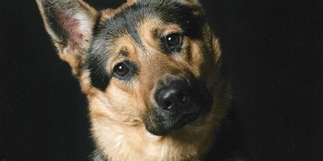 282789584_162634866239380_8665782943076151731_n