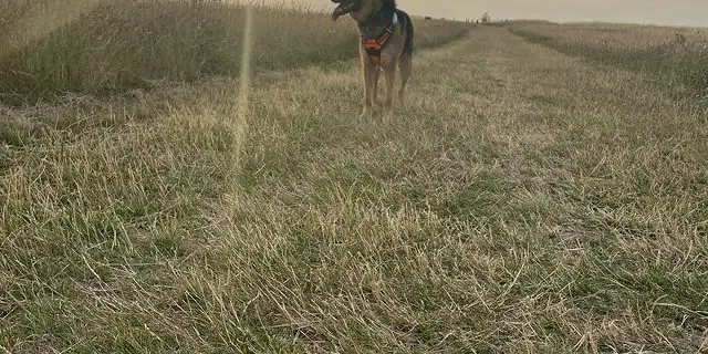 293342093_2251275371678289_3518276205876367011_n